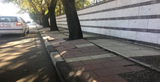 Kötü Görüntü Ortadan Kaldırılıyor