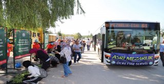 BÜYÜKŞEHİR MEZARLIKLARDA ÇİÇEK DAĞITTI KAHVE İKRAM ETTİ