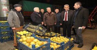 Kent Hali'ne girişler ücretsiz olacak