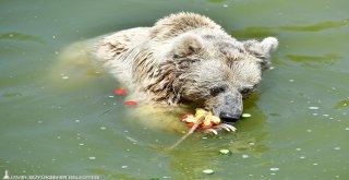 Sıcak.. çok sıcak..
