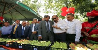 GÜRSU'DA COŞKULU FESTİVAL AÇILIŞI