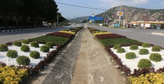 Manisa'dan Yeşil Karşılama