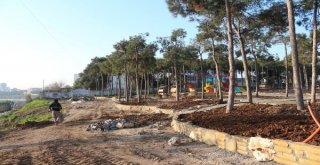 Peyzaj Sanatları Beyazevler Çamlığı’nda Bütünleşiyor
