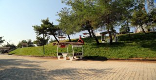 ÇAMLITEPE MESİRE ALANI HALKIN HİZMETİNDE