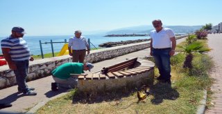 MUDANYA BELEDİYESİ GÜZELYALI SAHİLİNDE ÇALIŞMALARA BAŞLADI