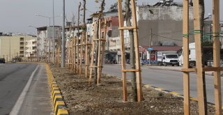 YEŞİL KENT SAĞLIKLI GELECEK