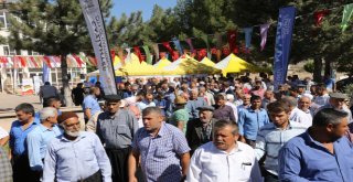 BÜYÜKŞEHİR'DEN ÇİFTÇİLERE DESTEK