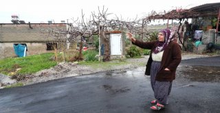 Vatandaş İstedi, Büyükşehir Yaptı