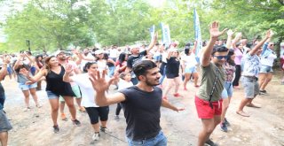 ŞAYMANA FEST'TE KEDİ VE KÖPEKLERİN BAKIMI BÜYÜKŞEHİR'DEN