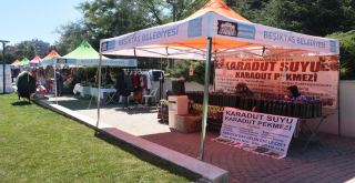 İkinci El ve Tasarım Festivali Sona Erdi!