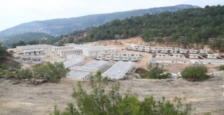 Çukurova?nın En Büyük Hayvan Barınağı Mersin?de