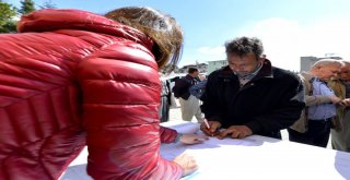 Büyükşehir'den Üreticilere 5200 Adet Aşılı Asma Fidanı