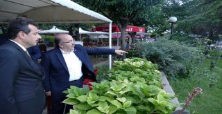 Fatih Parkı'nda yenileme çalışmalarına başlandı