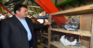 Türkiye'nin En Modern Kuş Pazarı Osmangazi'de