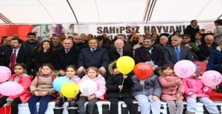 Sokak Hayvanlarının da Bir Merkezi Olacak