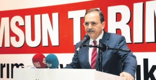 Başkan Zihni Şahin: Samsun Millet Bahçeleri Şehri Olacak