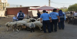 Zabıta ekipleri denetimlerini sürdürüyor